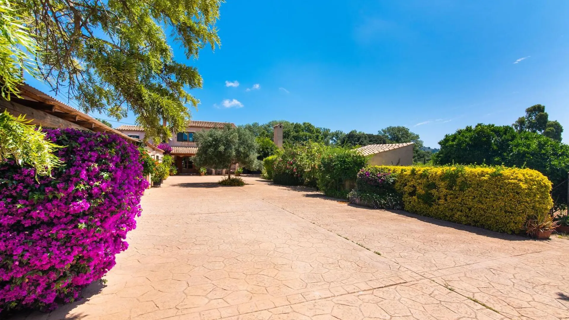 Finca Can Petit - Apartamento Rural Capdepera
